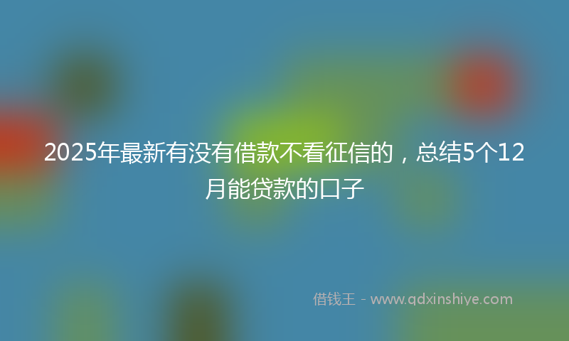 2025年最新有没有借款不看征信的，总结5个12月能贷款的口子