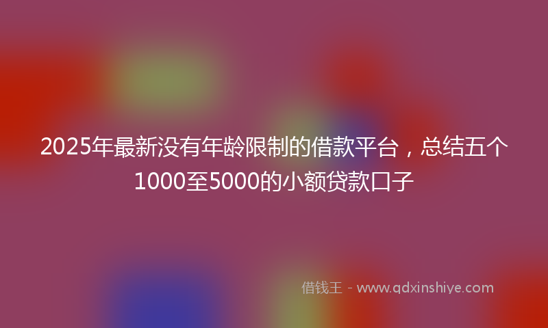 2025年最新没有年龄限制的借款平台，总结五个1000至5000的小额贷款口子