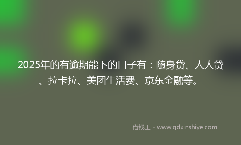 2025年的有逾期能下的口子有：随身贷、人人贷、拉卡拉、美团生活费、京东金融等。