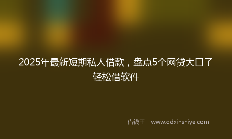 2025年最新短期私人借款，盘点5个网贷大口子轻松借软件