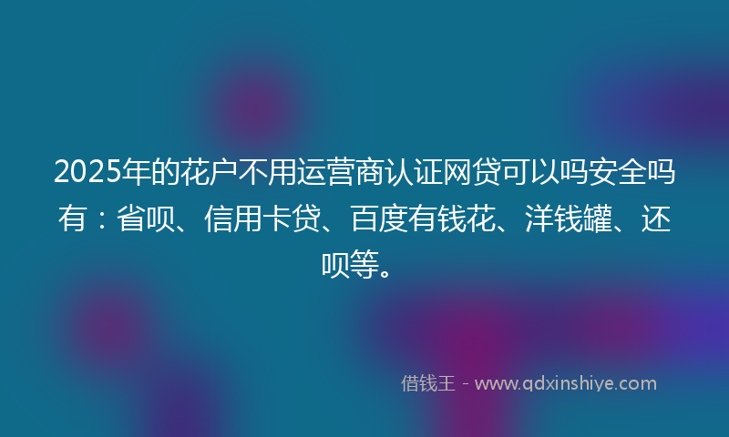 2025年的花户不用运营商认证网贷可以吗安全吗有：省呗、信用卡贷、百度有钱花、洋钱罐、还呗等。