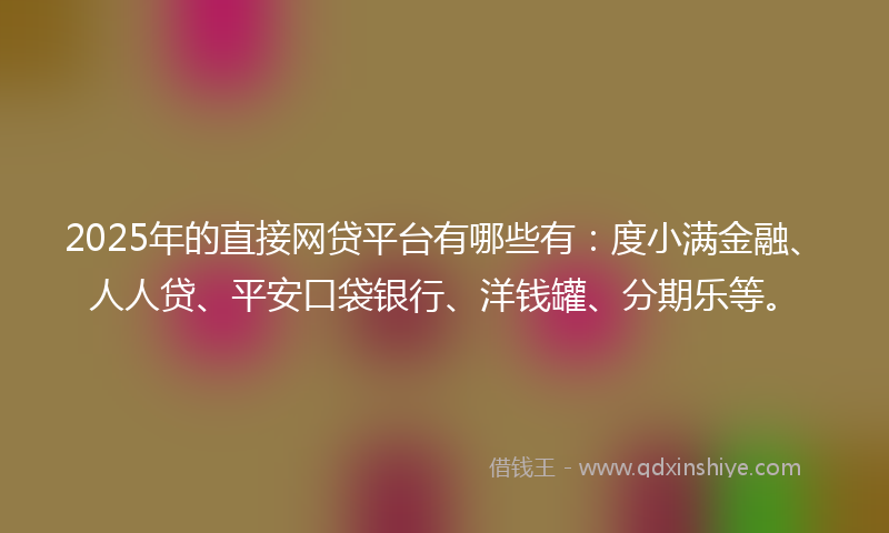 2025年的直接网贷平台有哪些有：度小满金融、人人贷、平安口袋银行、洋钱罐、分期乐等。