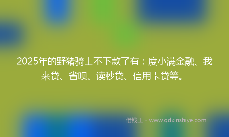 2025年的野猪骑士不下款了有：度小满金融、我来贷、省呗、读秒贷、信用卡贷等。