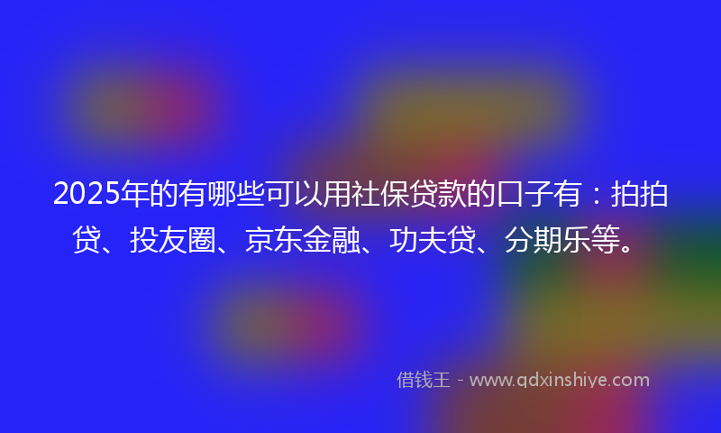 2025年的有哪些可以用社保贷款的口子有：拍拍贷、投友圈、京东金融、功夫贷、分期乐等。