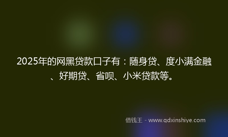 2025年的网黑贷款口子有：随身贷、度小满金融、好期贷、省呗、小米贷款等。