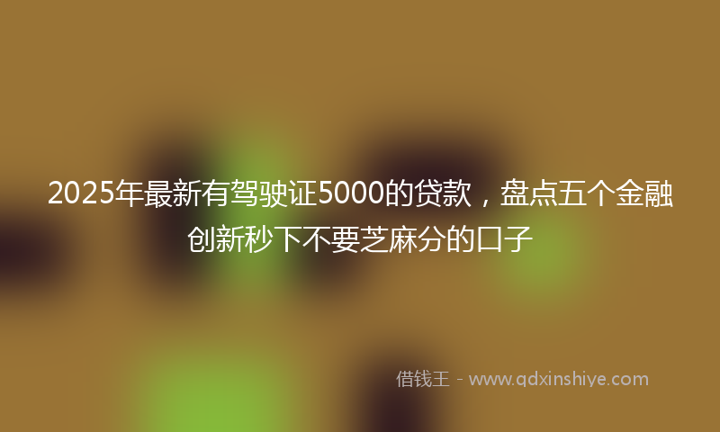 2025年最新有驾驶证5000的贷款，盘点五个金融创新秒下不要芝麻分的口子
