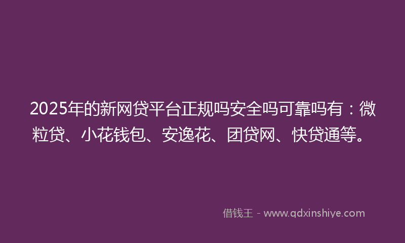 2025年的新网贷平台正规吗安全吗可靠吗有：微粒贷、小花钱包、安逸花、团贷网、快贷通等。