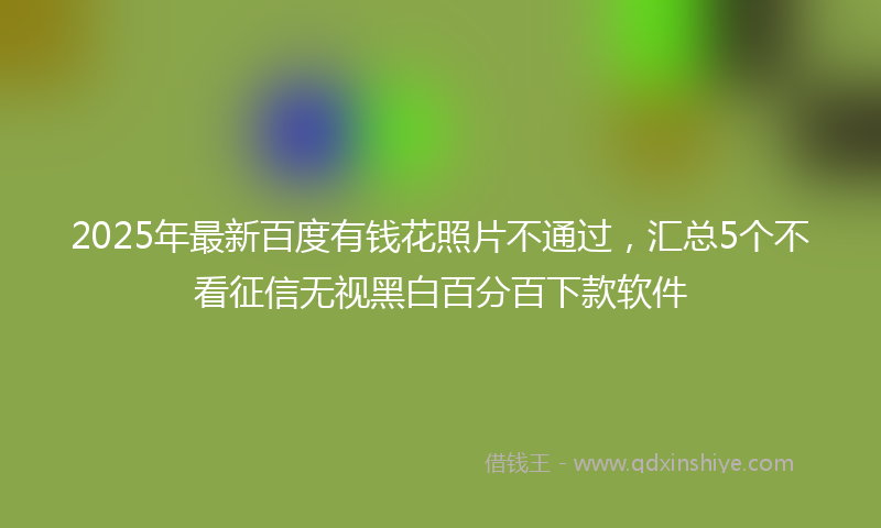 2025年最新百度有钱花照片不通过，汇总5个不看征信无视黑白百分百下款软件