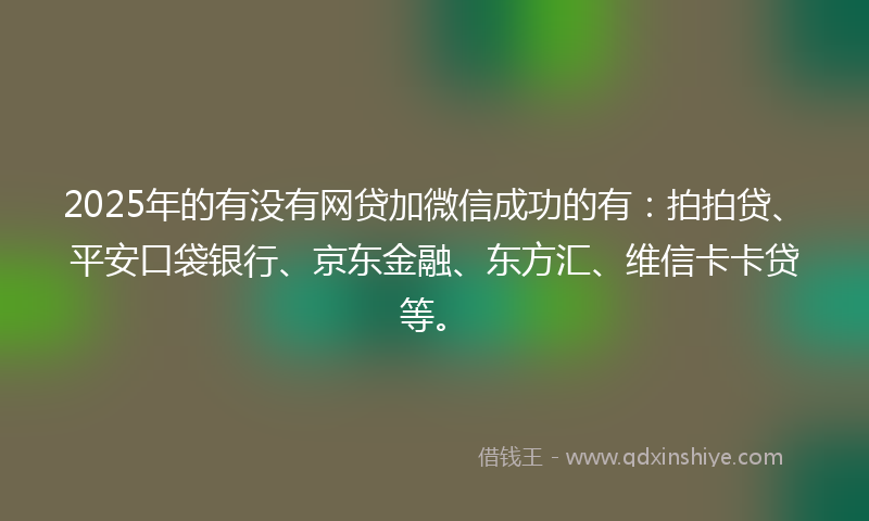 2025年的有没有网贷加微信成功的有：拍拍贷、平安口袋银行、京东金融、东方汇、维信卡卡贷等。