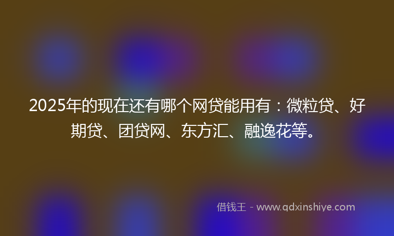 2025年的现在还有哪个网贷能用有：微粒贷、好期贷、团贷网、东方汇、融逸花等。