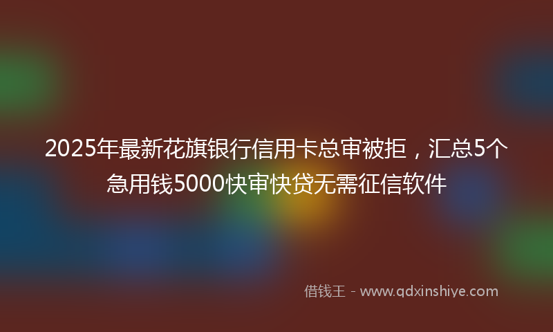 2025年最新花旗银行信用卡总审被拒，汇总5个急用钱5000快审快贷无需征信软件