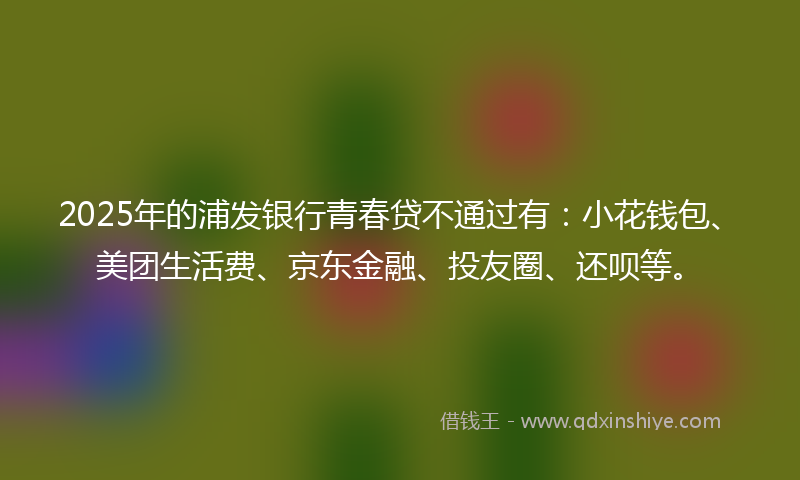 2025年的浦发银行青春贷不通过有:小花钱包、美团生活费、京东金融、投友圈、还呗等。