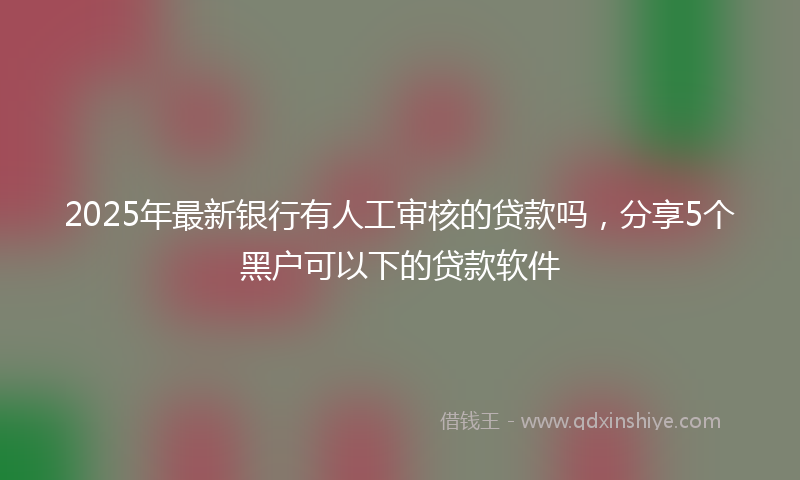 2025年最新银行有人工审核的贷款吗，分享5个黑户可以下的贷款软件
