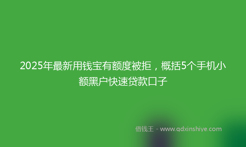 2025年最新用钱宝有额度被拒，概括5个手机小额黑户快速贷款口子