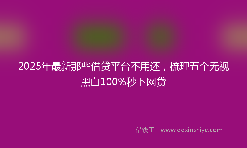 2025年最新那些借贷平台不用还，梳理五个无视黑白100%秒下网贷