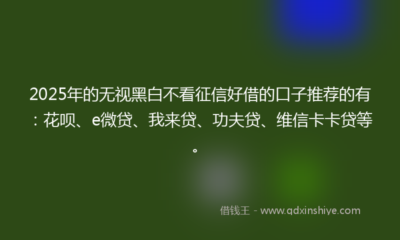 2025年的无视黑白不看征信好借的口子推荐的有：花呗、e微贷、我来贷、功夫贷、维信卡卡贷等。