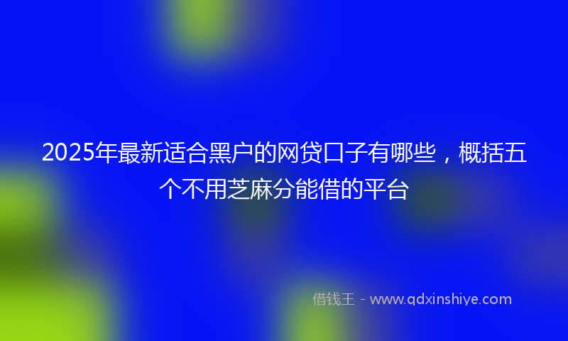2025年最新适合黑户的网贷口子有哪些，概括五个不用芝麻分能借的平台