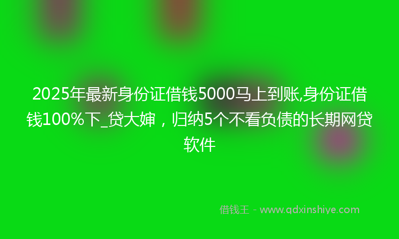 2025年最新身份证借钱5000马上到账,身份证借钱100%下_贷大婶，归纳5个不看负债的长期网贷软件