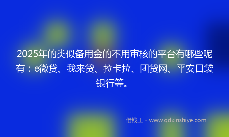 2025年的类似备用金的不用审核的平台有哪些呢有：e微贷、我来贷、拉卡拉、团贷网、平安口袋银行等。
