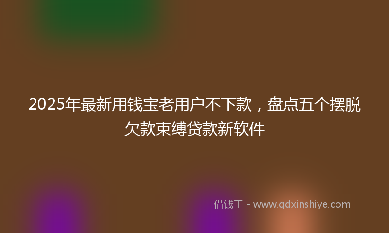 2025年最新用钱宝老用户不下款，盘点五个摆脱欠款束缚贷款新软件