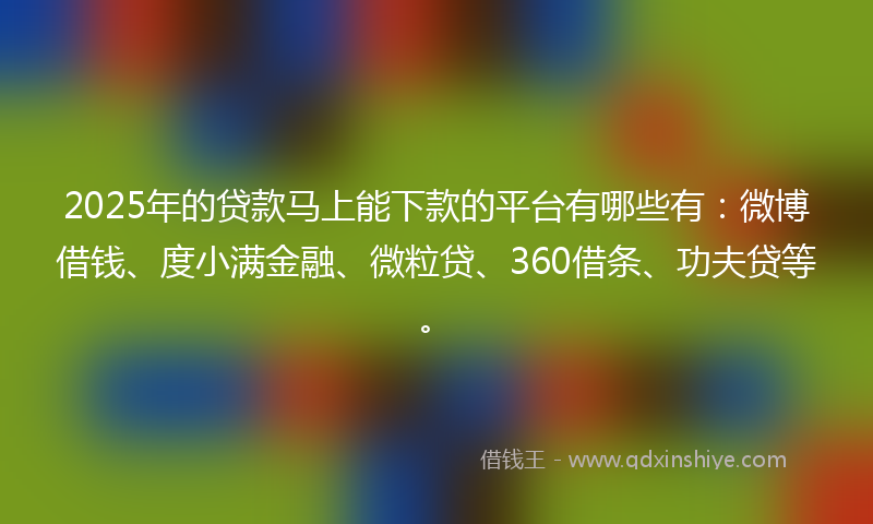 2025年的贷款马上能下款的平台有哪些有：微博借钱、度小满金融、微粒贷、360借条、功夫贷等。