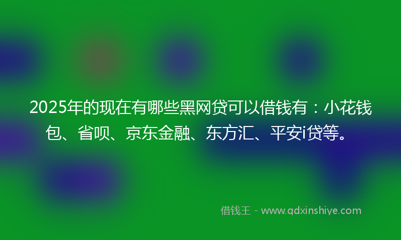 2025年的现在有哪些黑网贷可以借钱有：小花钱包、省呗、京东金融、东方汇、平安i贷等。