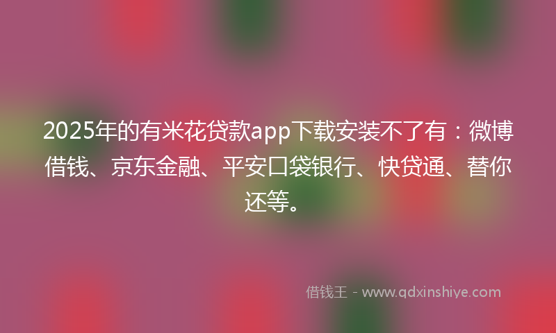 2025年的有米花贷款app下载安装不了有：微博借钱、京东金融、平安口袋银行、快贷通、替你还等。