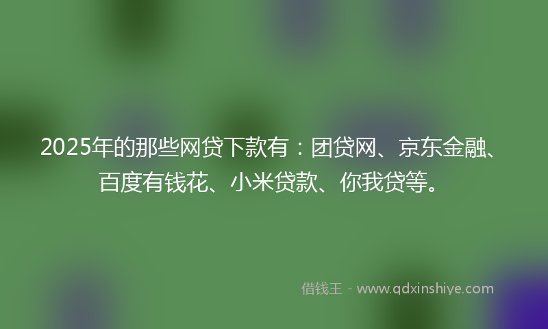 2025年的那些网贷下款有：团贷网、京东金融、百度有钱花、小米贷款、你我贷等。