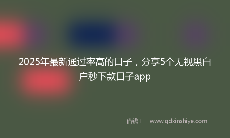 2025年最新通过率高的口子，分享5个无视黑白户秒下款口子app