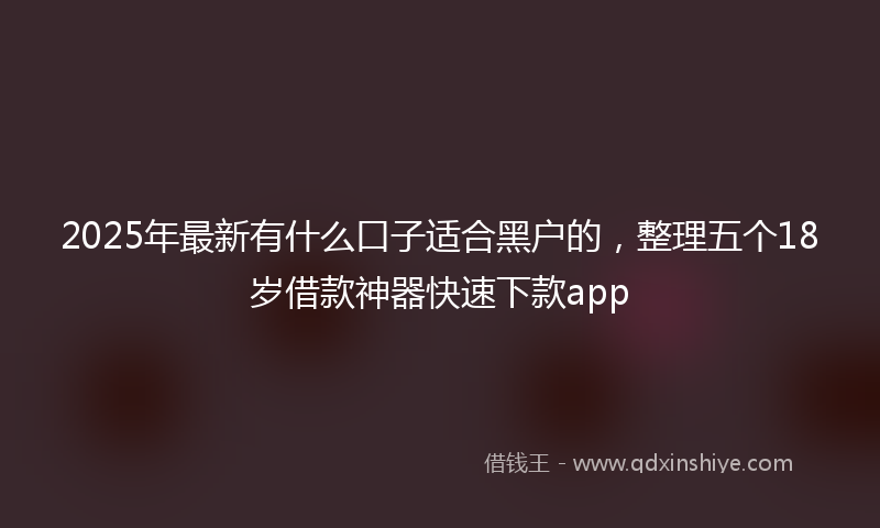 2025年最新有什么口子适合黑户的，整理五个18岁借款神器快速下款app