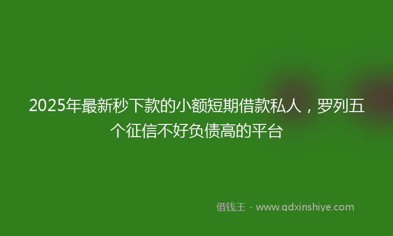 2025年最新秒下款的小额短期借款私人，罗列五个征信不好负债高的平台