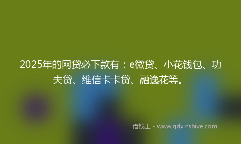 2025年的网贷必下款有：e微贷、小花钱包、功夫贷、维信卡卡贷、融逸花等。