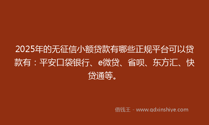 2025年的无征信小额贷款有哪些正规平台可以贷款有：平安口袋银行、e微贷、省呗、东方汇、快贷通等。