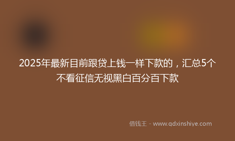 2025年最新目前跟贷上钱一样下款的，汇总5个不看征信无视黑白百分百下款
