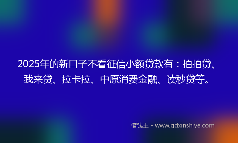 2025年的新口子不看征信小额贷款有：拍拍贷、我来贷、拉卡拉、中原消费金融、读秒贷等。