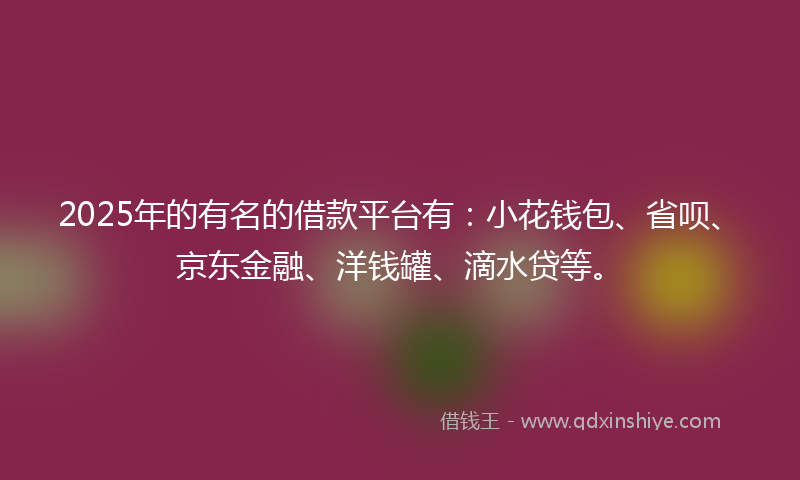 2025年的有名的借款平台有：小花钱包、省呗、京东金融、洋钱罐、滴水贷等。