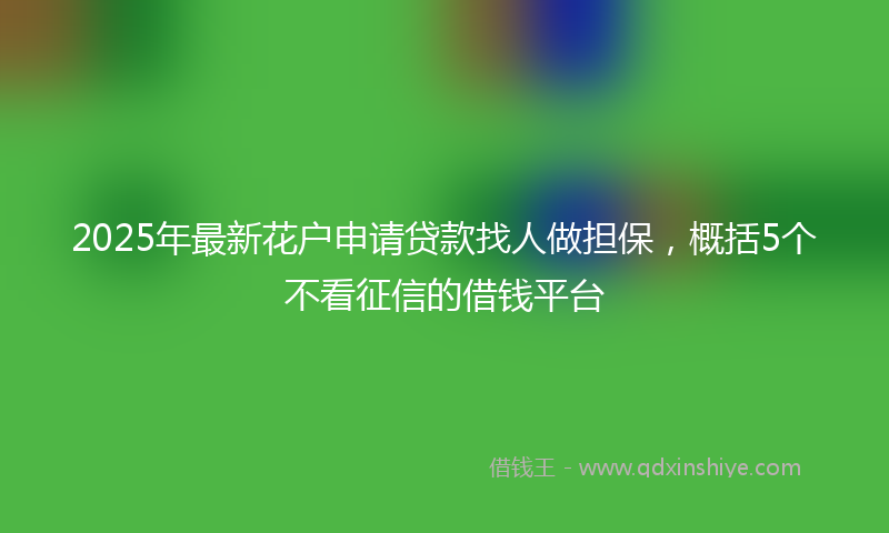 2025年最新花户申请贷款找人做担保，概括5个不看征信的借钱平台