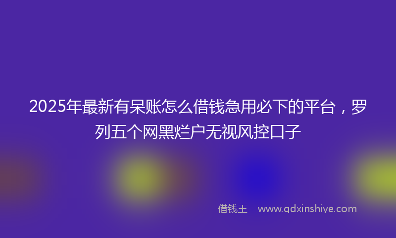 2025年最新有呆账怎么借钱急用必下的平台，罗列五个网黑烂户无视风控口子