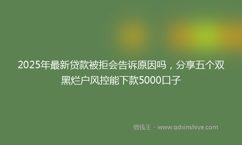2025年最新贷款被拒会告诉原因吗，分享五个双黑烂户风控能下款5000口子
