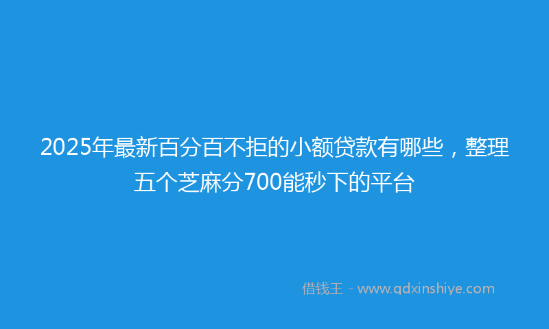 2025年最新百分百不拒的小额贷款有哪些，整理五个芝麻分700能秒下的平台