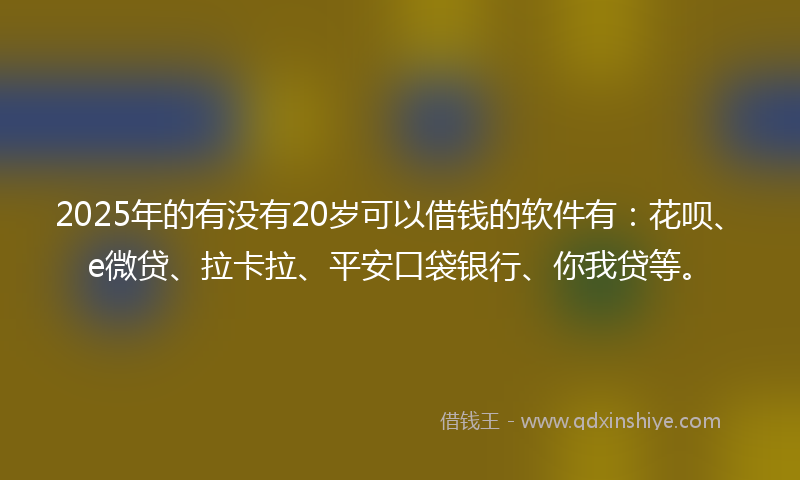2025年的有没有20岁可以借钱的软件有：花呗、e微贷、拉卡拉、平安口袋银行、你我贷等。