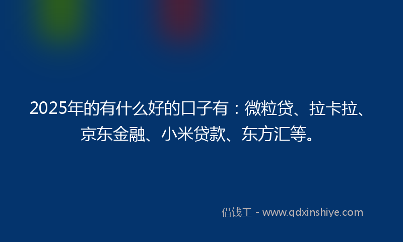 2025年的有什么好的口子有：微粒贷、拉卡拉、京东金融、小米贷款、东方汇等。