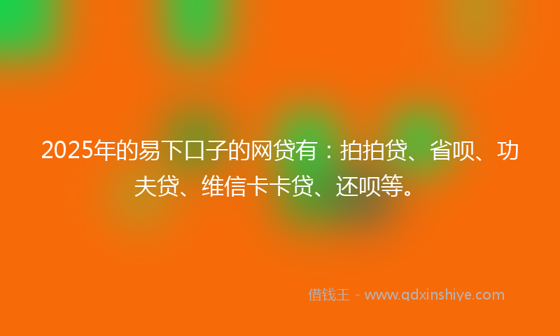 2025年的易下口子的网贷有：拍拍贷、省呗、功夫贷、维信卡卡贷、还呗等。