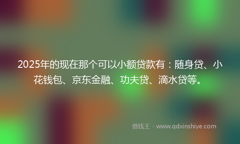 2025年的现在那个可以小额贷款有：随身贷、小花钱包、京东金融、功夫贷、滴水贷等。