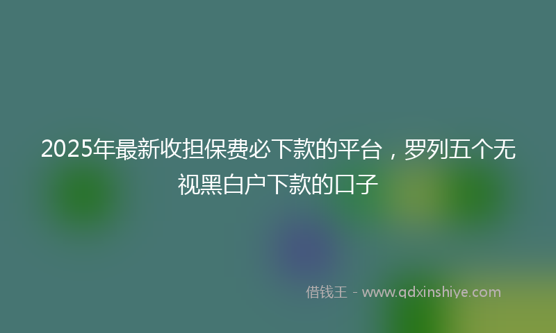 2025年最新收担保费必下款的平台，罗列五个无视黑白户下款的口子