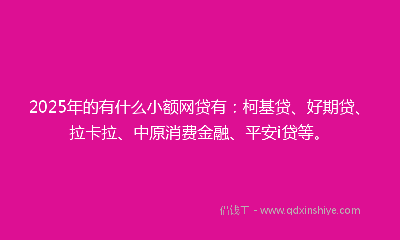 2025年的有什么小额网贷有：柯基贷、好期贷、拉卡拉、中原消费金融、平安i贷等。