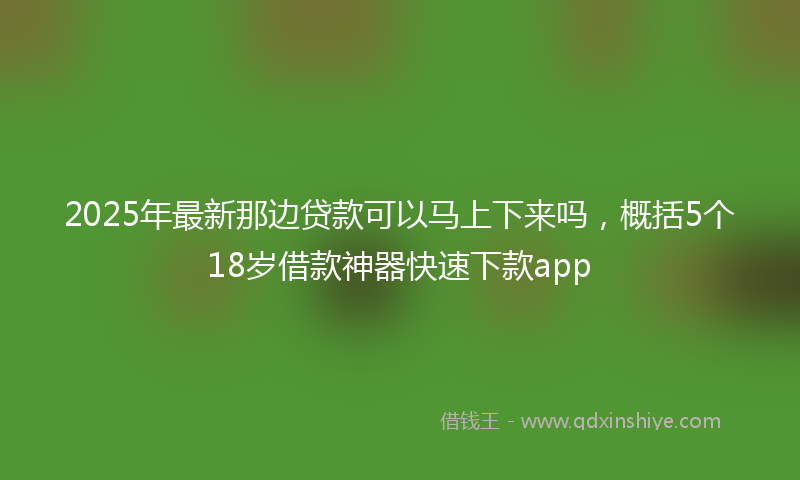 2025年最新那边贷款可以马上下来吗，概括5个18岁借款神器快速下款app