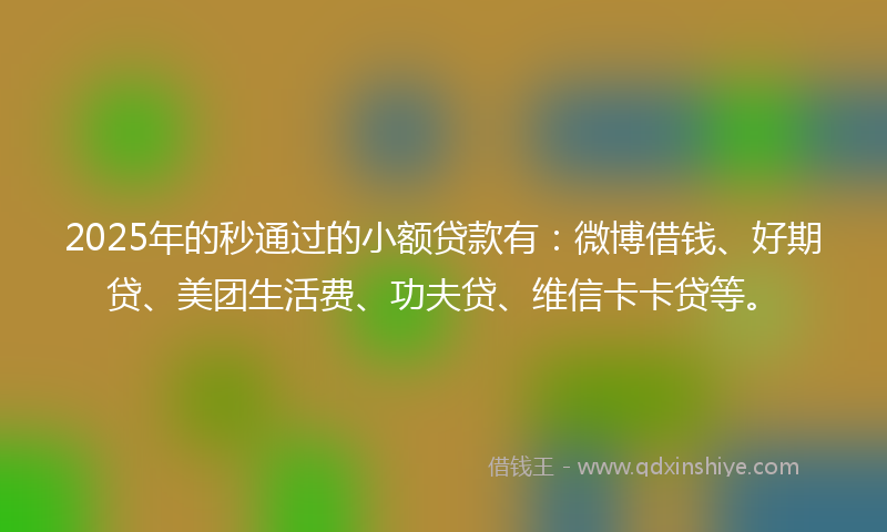 2025年的秒通过的小额贷款有：微博借钱、好期贷、美团生活费、功夫贷、维信卡卡贷等。
