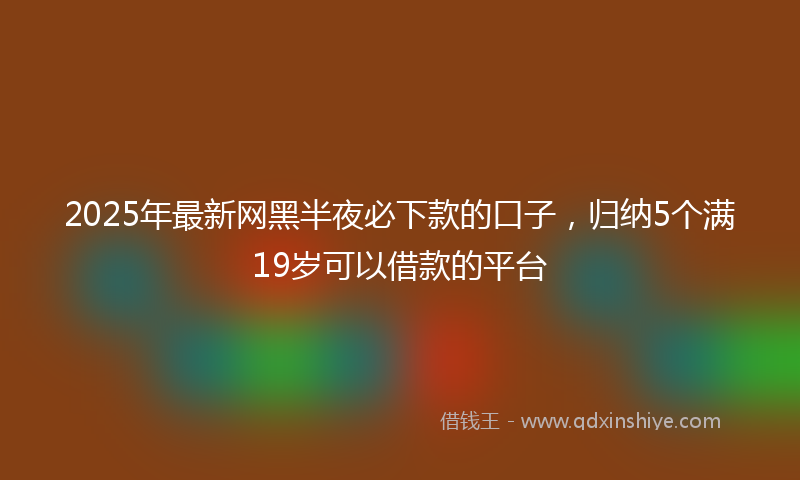 2025年最新网黑半夜必下款的口子，归纳5个满19岁可以借款的平台