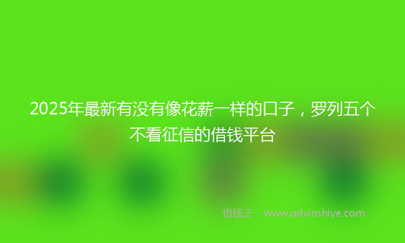 2025年最新有没有像花薪一样的口子，罗列五个不看征信的借钱平台